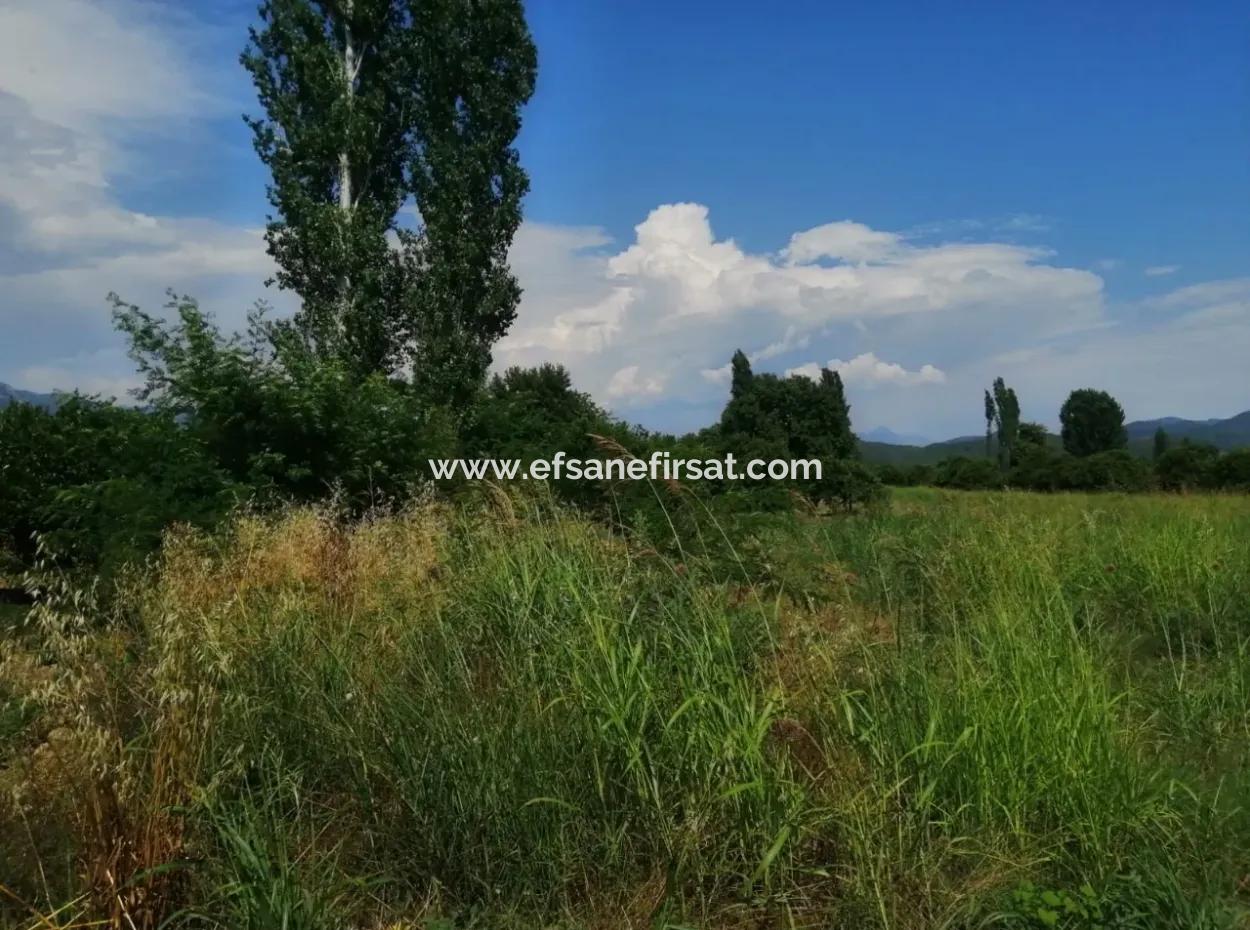 Farm For Sale In Köyceğiz Beyoba Bargain