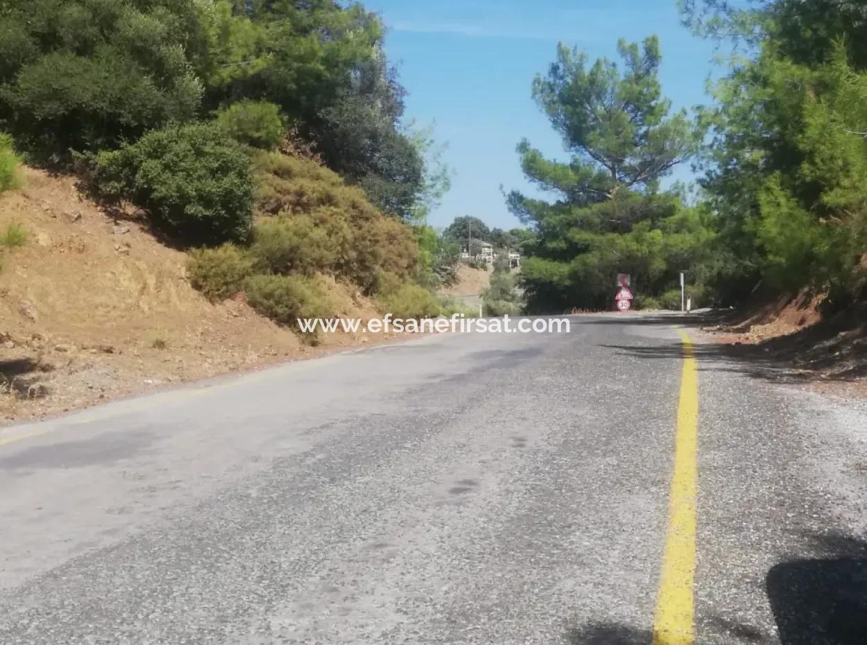 5000 M2 2B Field For Sale