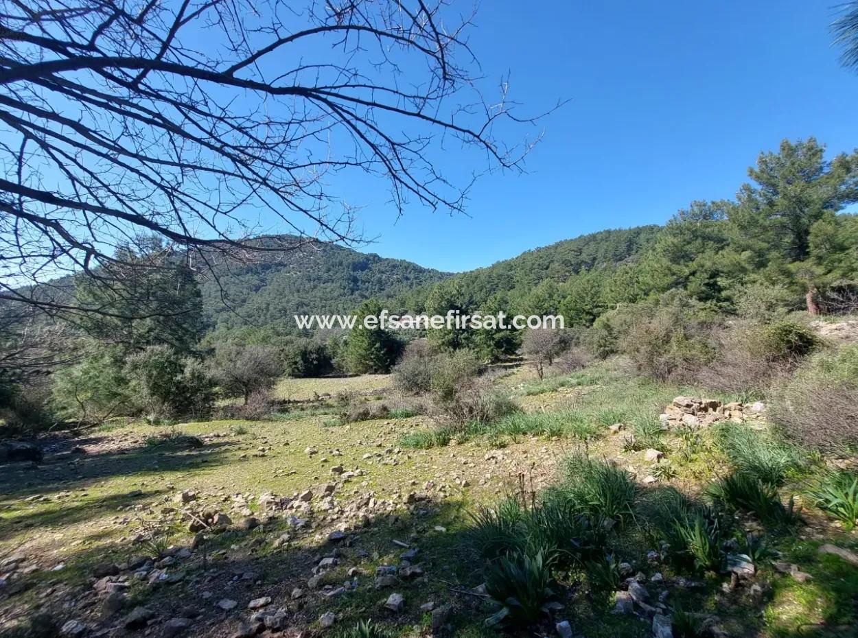 2 400 M2 Field For Sale In Muğla Ortaca Gökbelde Nature