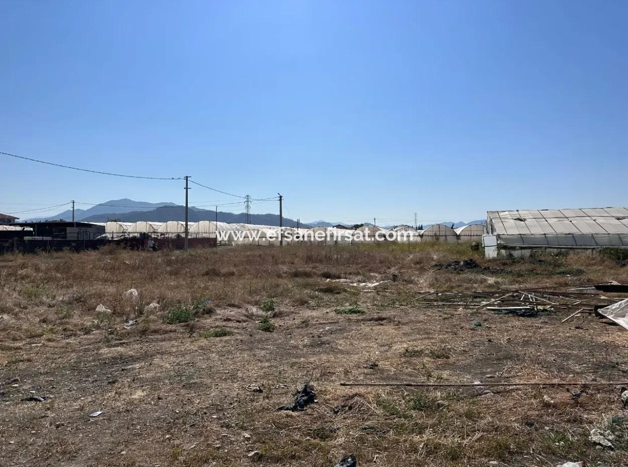 515 M2 Corner Zoned Land In Ortaca Karaburun Urgent Sale Or Exchange