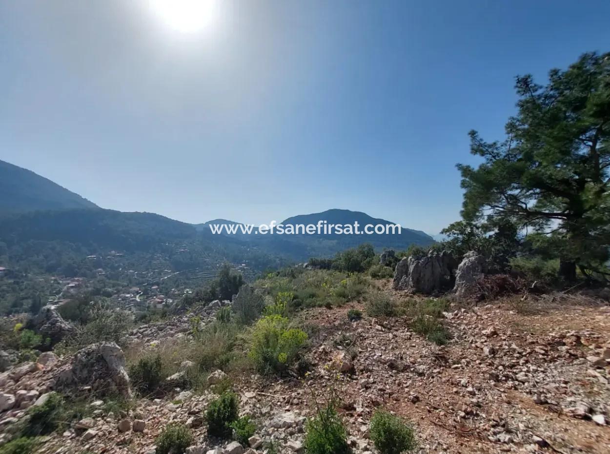1 300 M2 63 M2 Zoned Land For Sale In Gocek Gökçeovacik