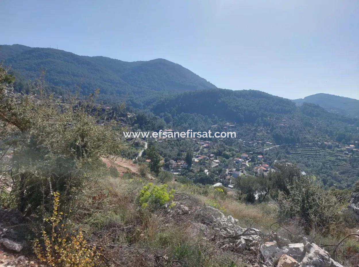 1 300 M2 63 M2 Zoned Land For Sale In Gocek Gökçeovacik