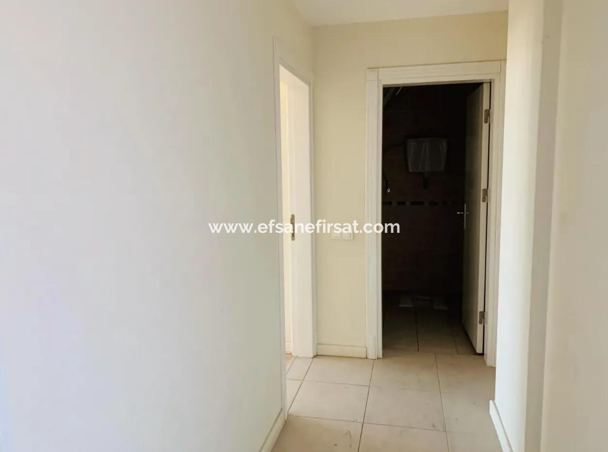 Oriya Rent-A Business Or Apartment