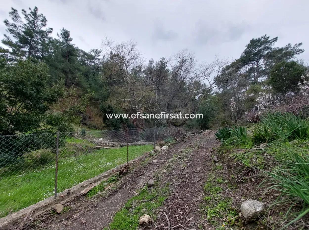 Ortaca Gökbelde Detached Nature In 626M2 Land For Sale