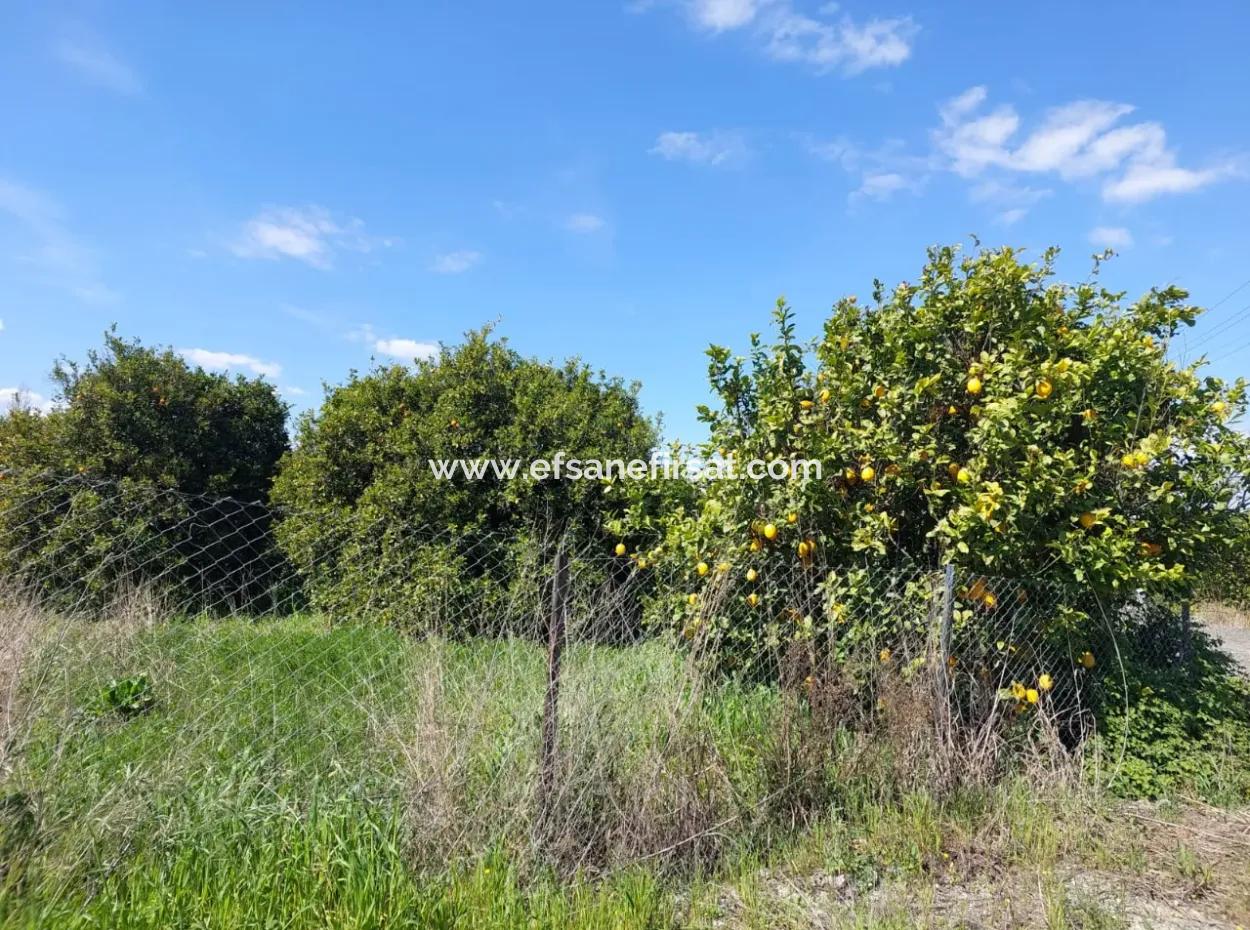 1.500 M² Detached Land With Mountain And Nature View For Sale In Ortaca Marmarlı