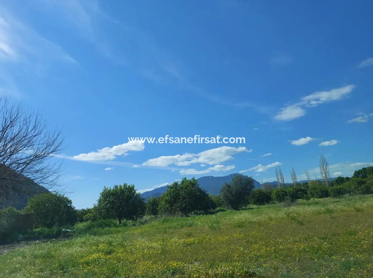 2 300 M2 Land Suitable For Investment In Ortaca Okçular Marmarlı For Sale