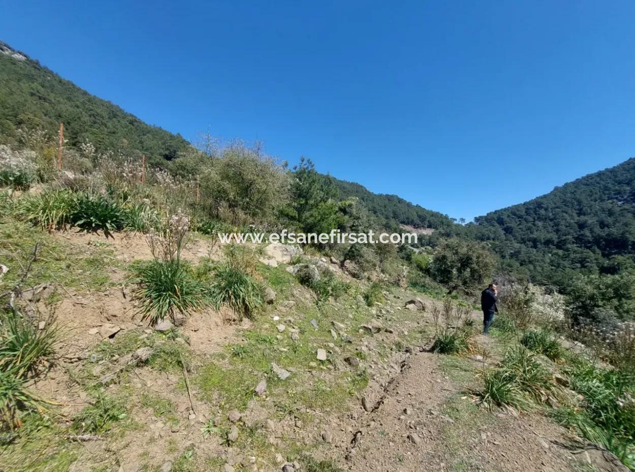 Ortaca Gökbelde Detached 12 132M2 Bargain Land In Nature For Sale