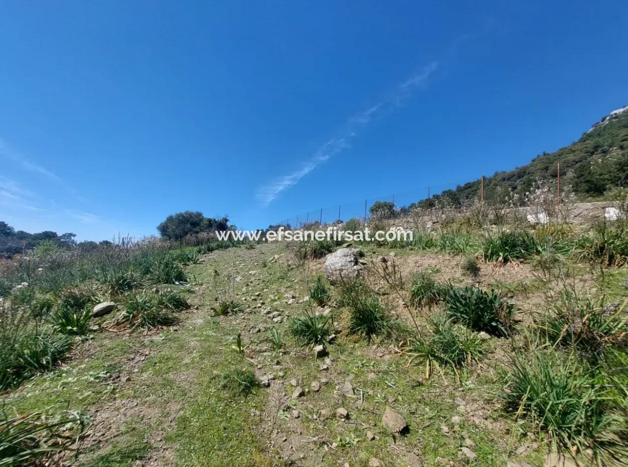 Ortaca Gökbelde Detached 12 132M2 Bargain Land In Nature For Sale