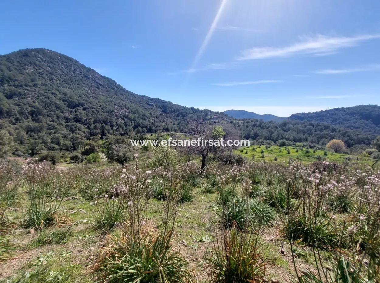 Ortaca Gökbelde Detached 12 132M2 Bargain Land In Nature For Sale