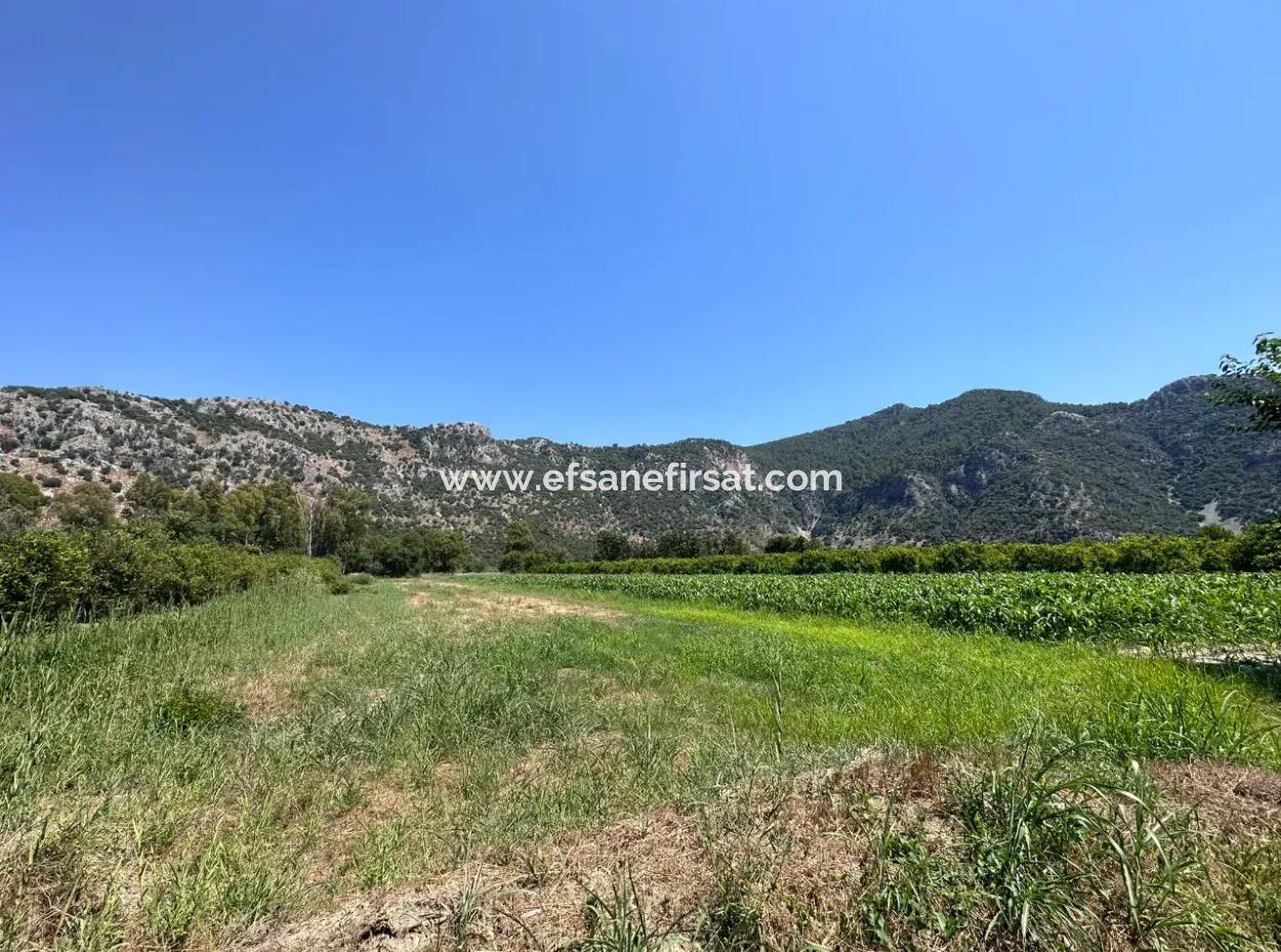 970 M2 Rızai Taksimli Share For Sale In Dalyan
