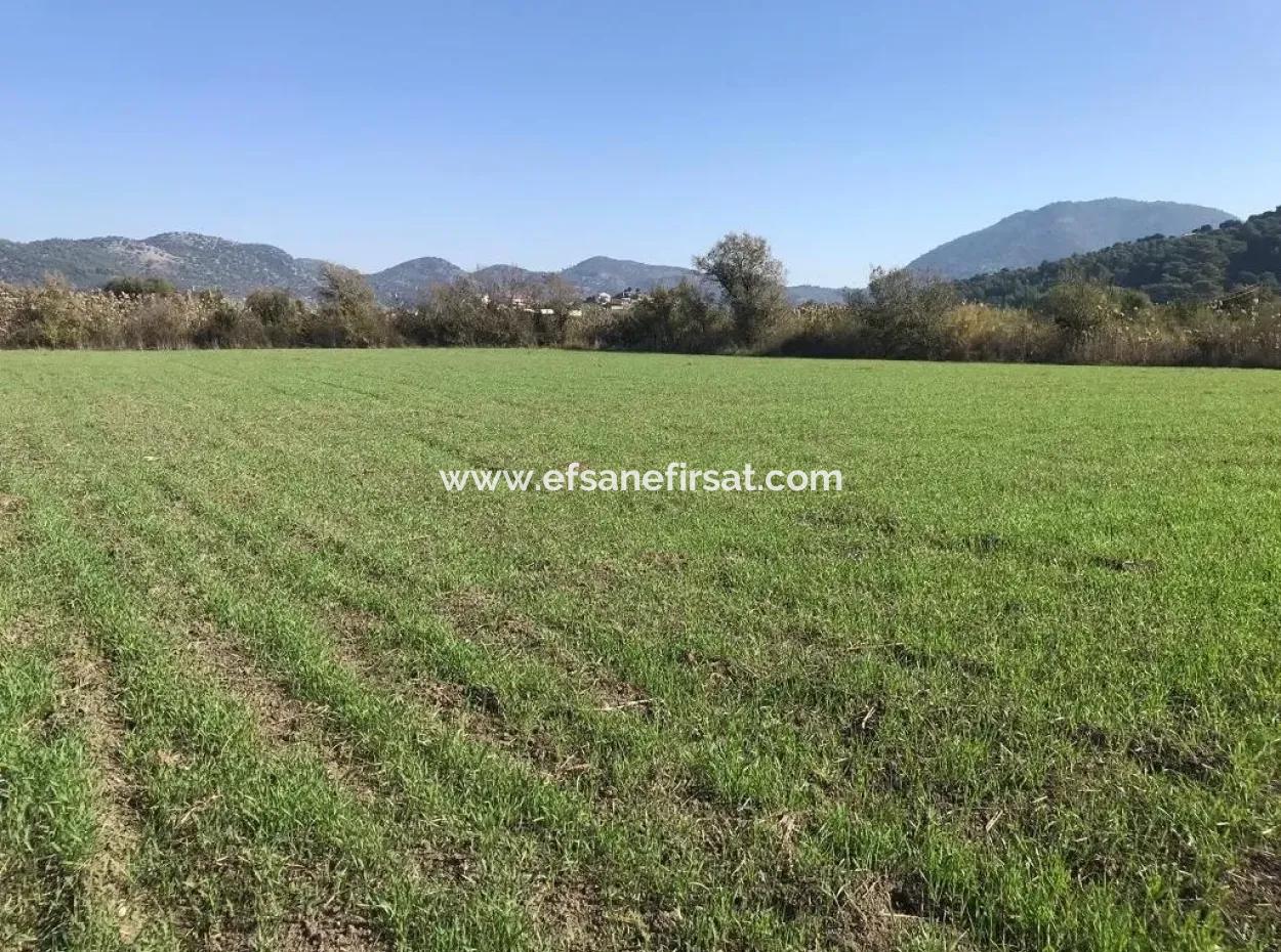 Land For Sale In Dalaman Also Public Works And Water Zero