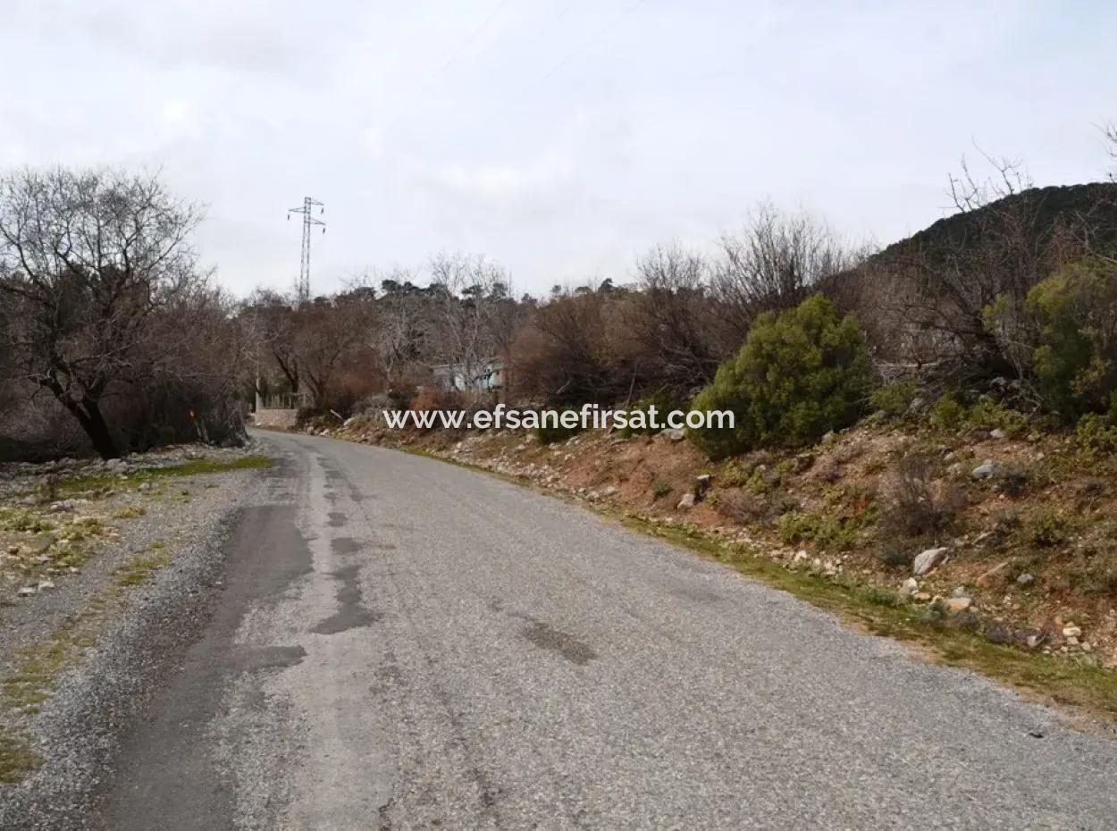 Fethiye, Nifte, 2 000 M2, Detached For Sale, Bargain Land
