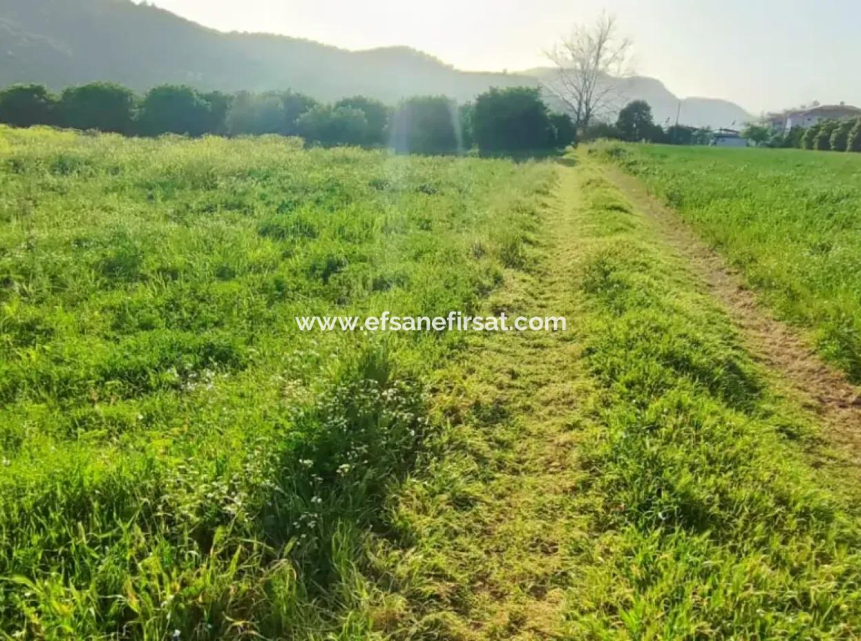 Rızai Taksimli 798 M2 Field For Sale In Muğla Ortaca Fevziye Neighborhood