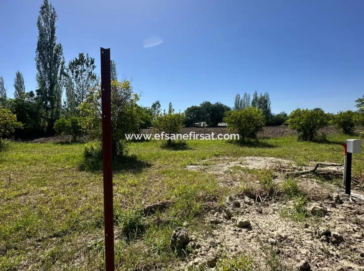 Archers Also For Sale 500 M2