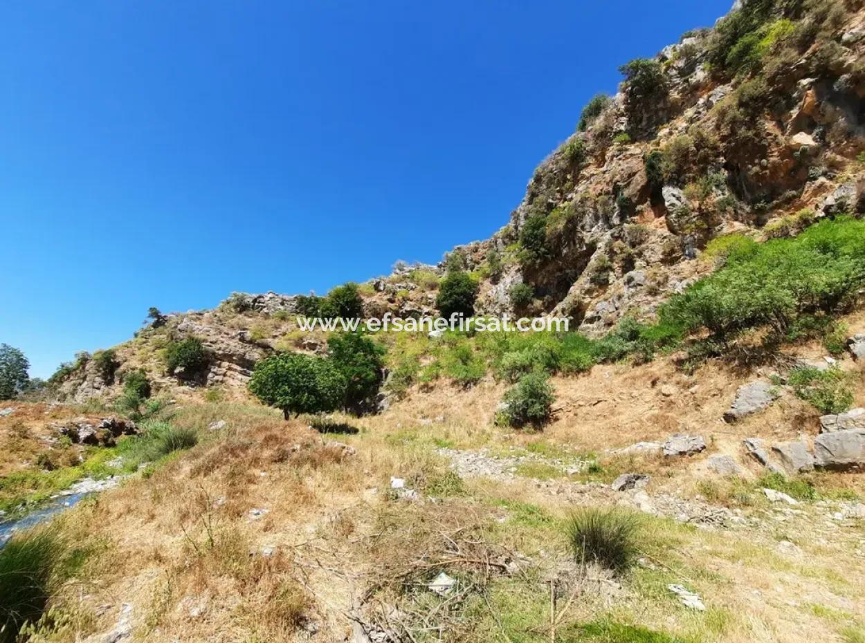 Muğla Ortaca Dalyanda Canal Front 6 500 M2 Land With Title Deed For Sale