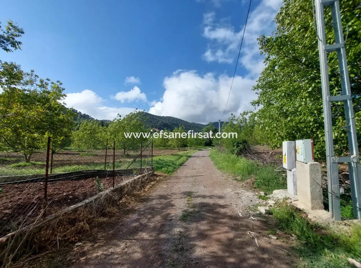 1000 M2 Land In Çameli Kızılyaka, For Sale Or Exchange For 2 1 Apartments In Ortaca