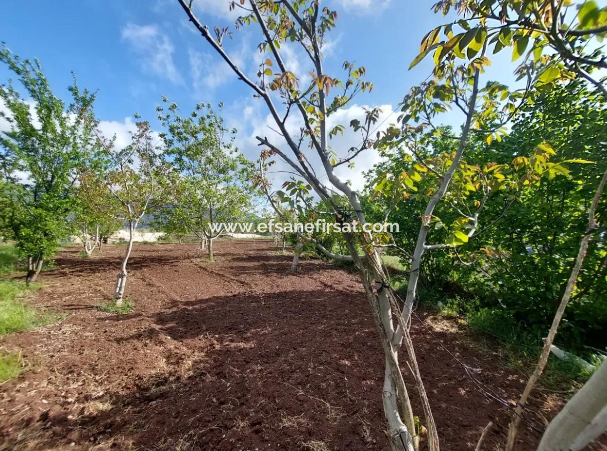 1000 M2 Land In Çameli Kızılyaka, For Sale Or Exchange For 2 1 Apartments In Ortaca