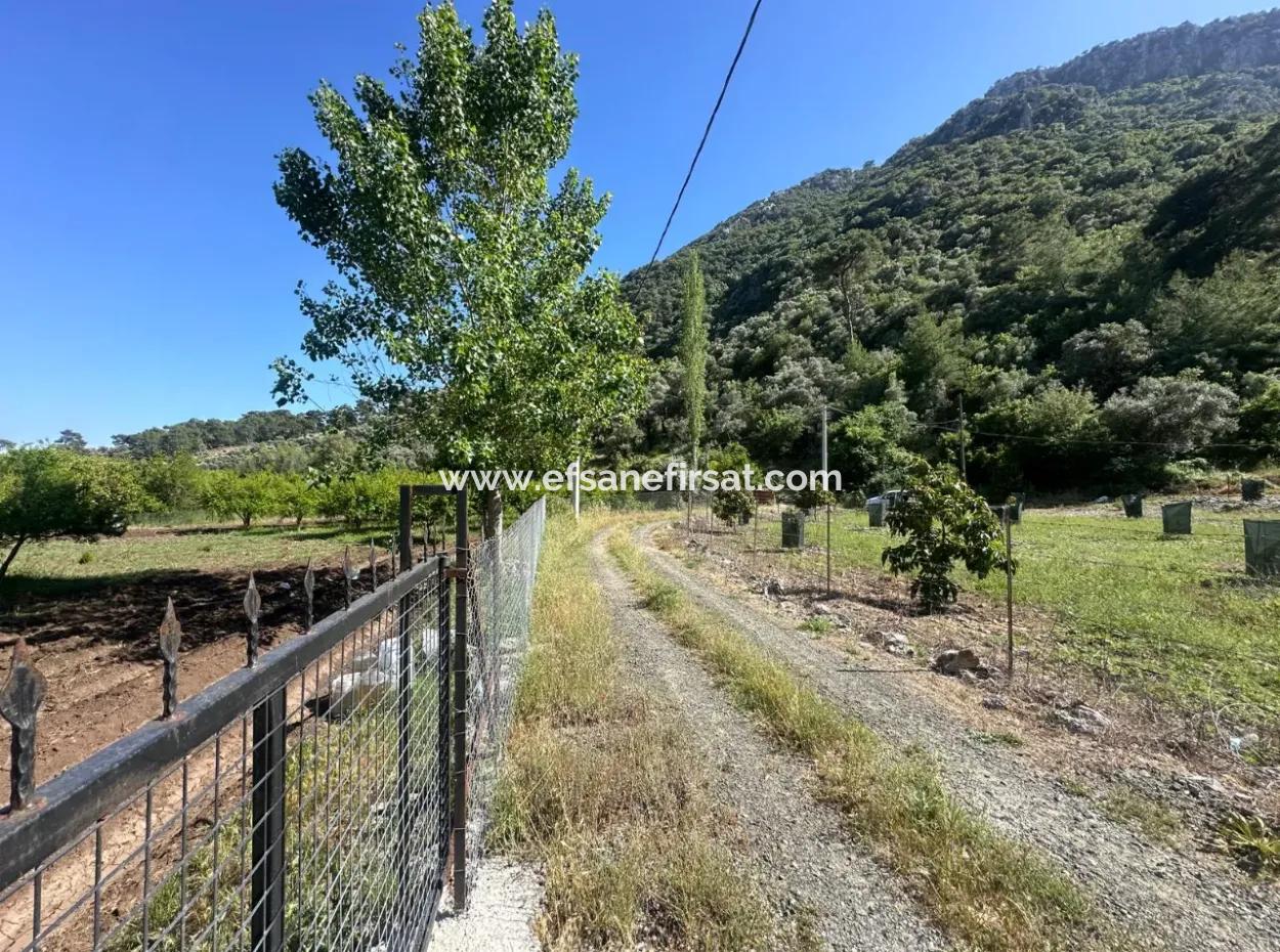 Ortaca Mergenlide Mountain Side, 1 700 M2 Zoned Bargain Land For Sale
