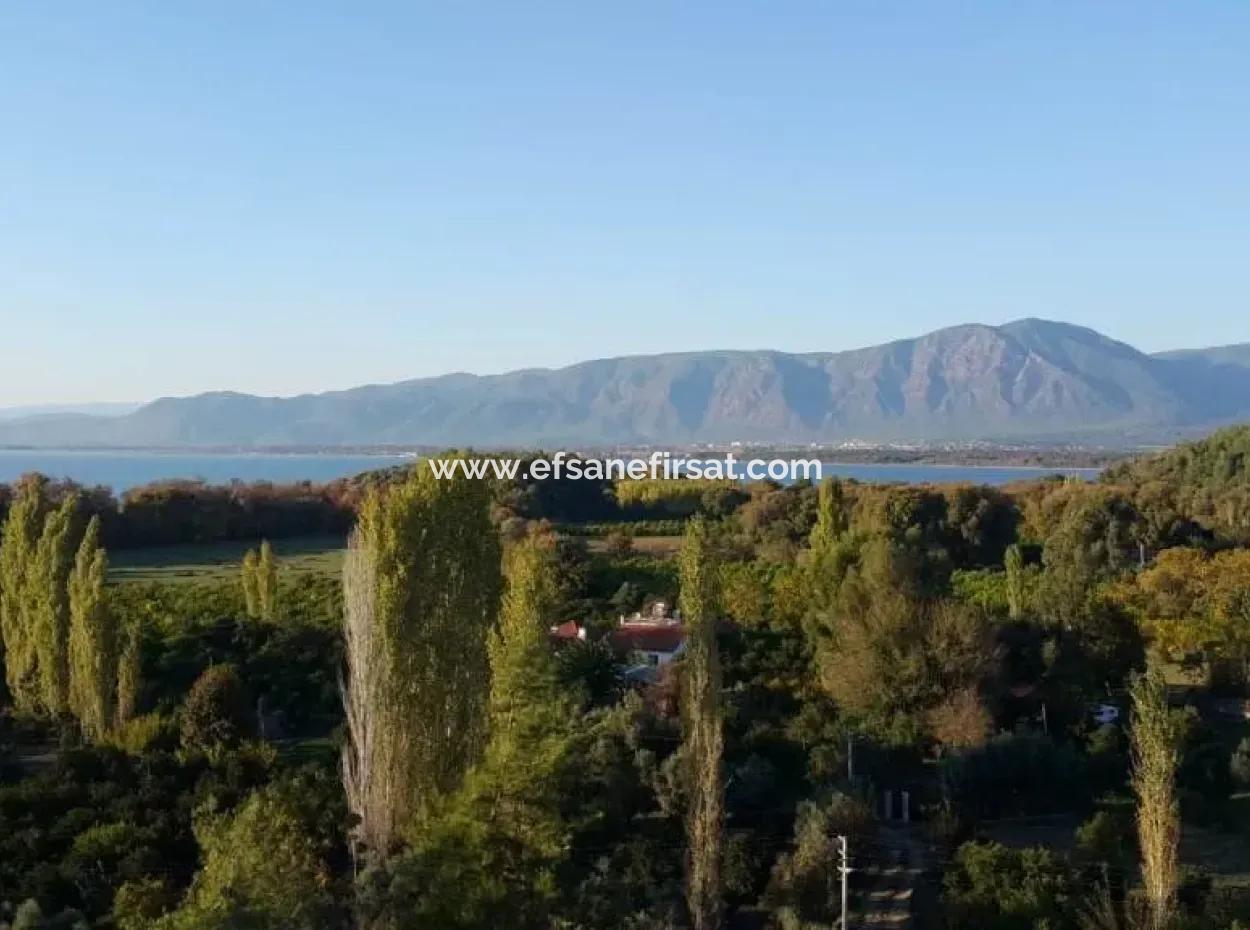 Garden For Sale In Köyceğiz Village