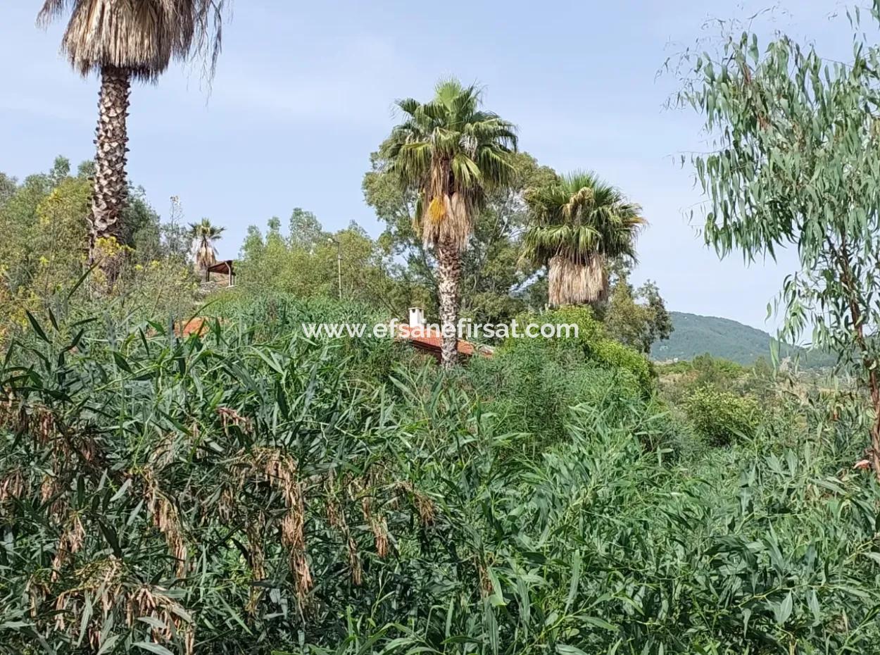 18 Villas Suitable For Mass Housing In Dalaman, 6 165 M2 Zoned Land For Sale