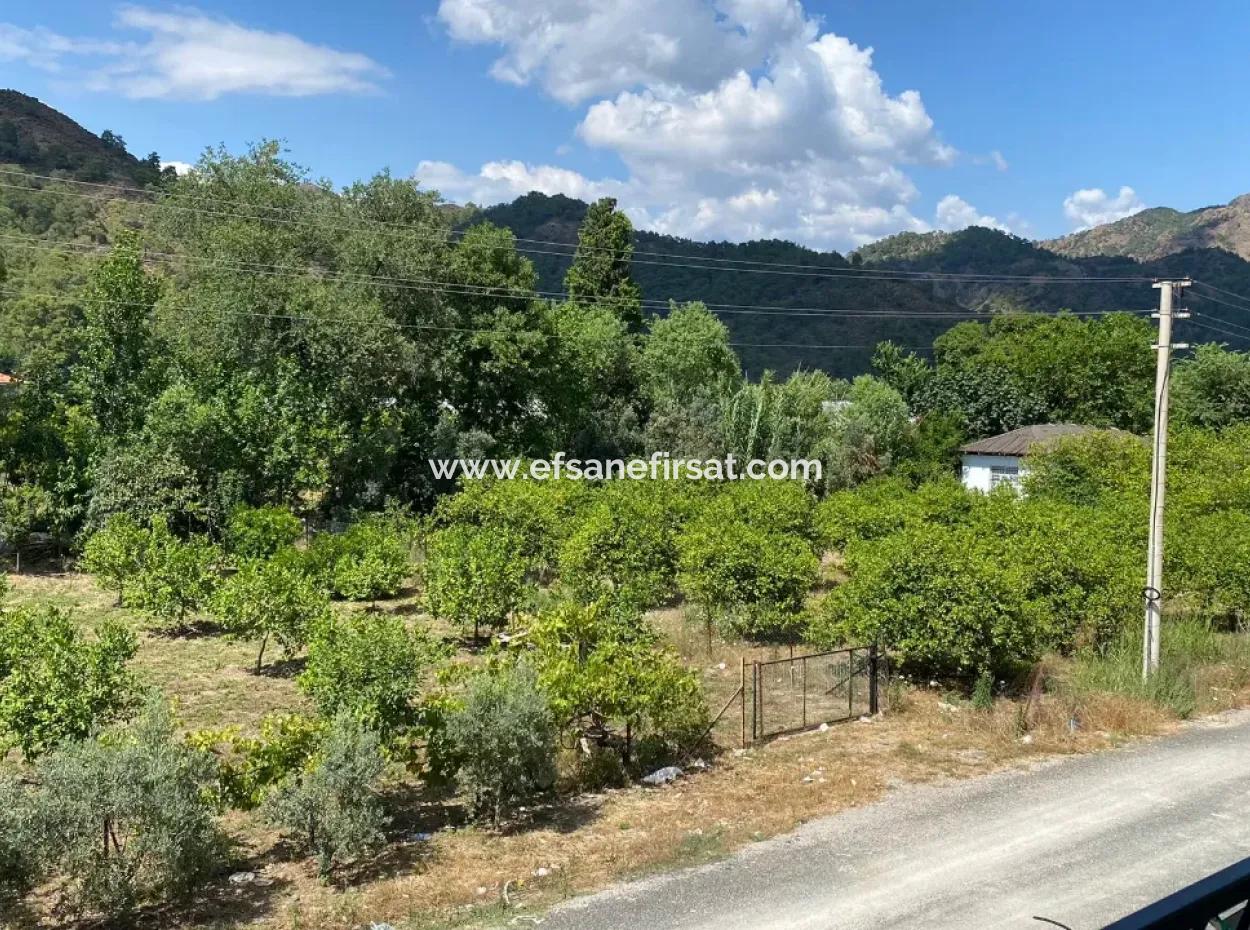 2Nd Floor 2 1 Brand New Apartment For Sale In Ortaca Çaylı 