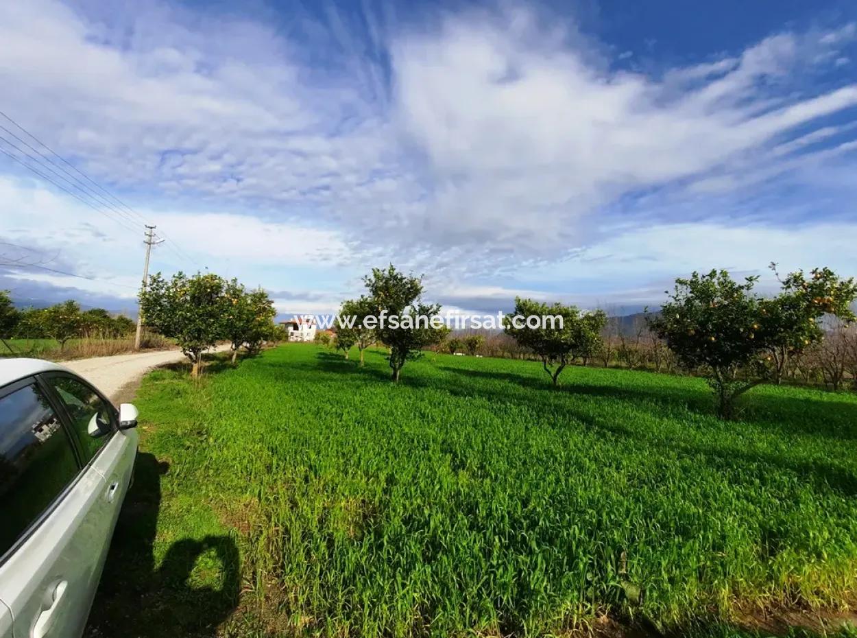1500 M2 Detached Land In Nature For Sale In Ortaca Okçular