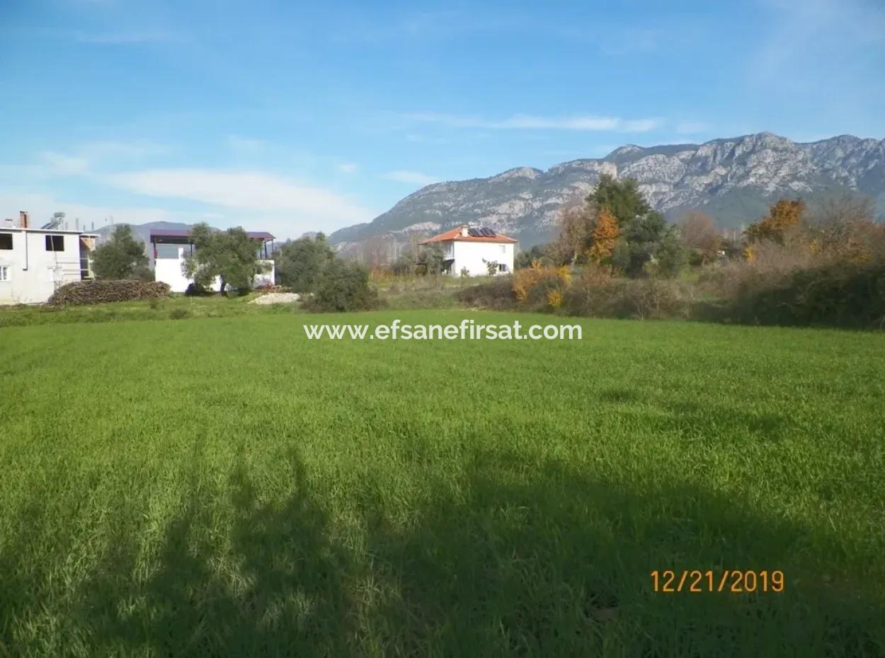 Land For Sale In Bargain Detached Zeytinalani