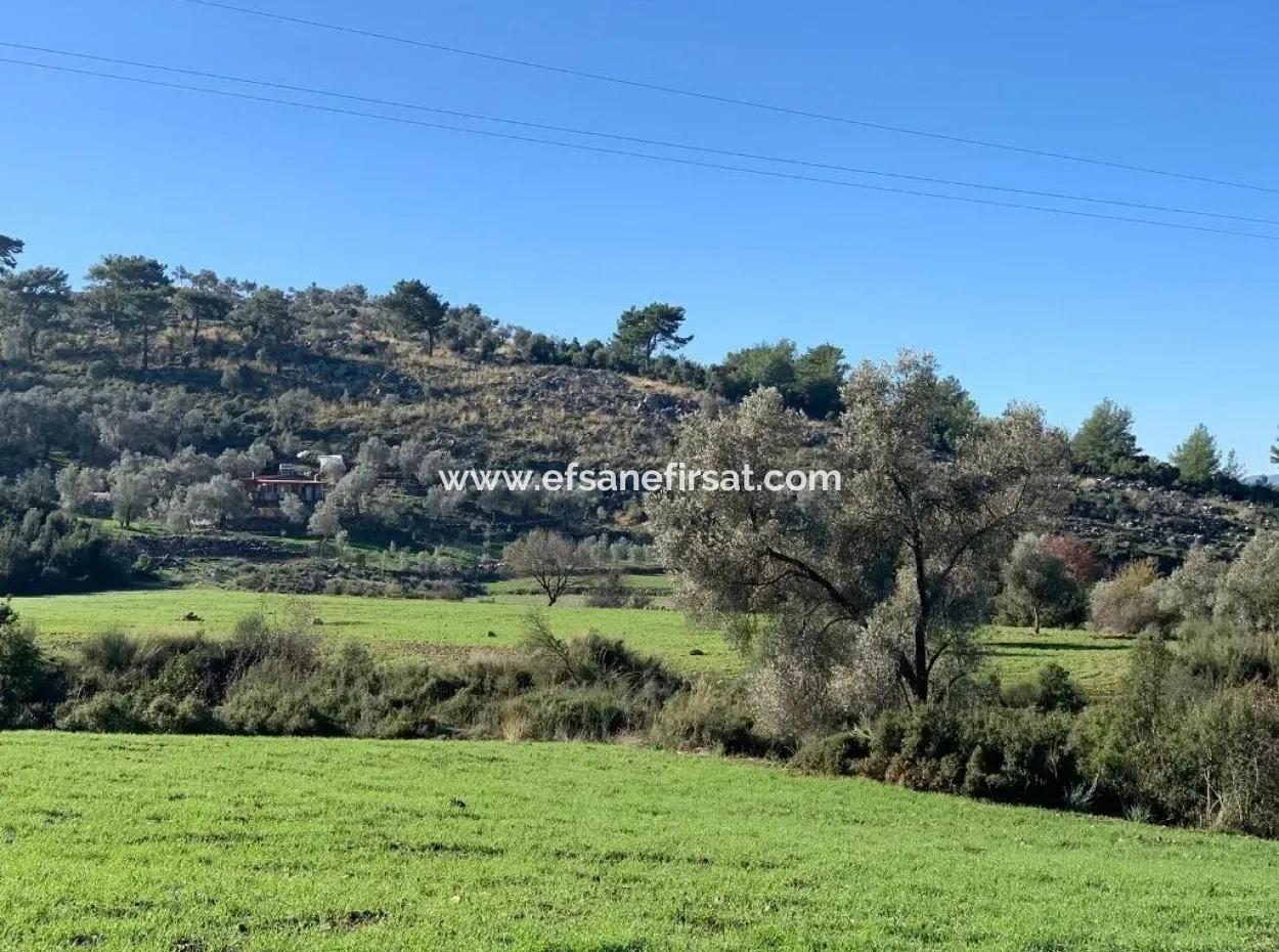 Investment Gocek Land For Sale Suitable For Te