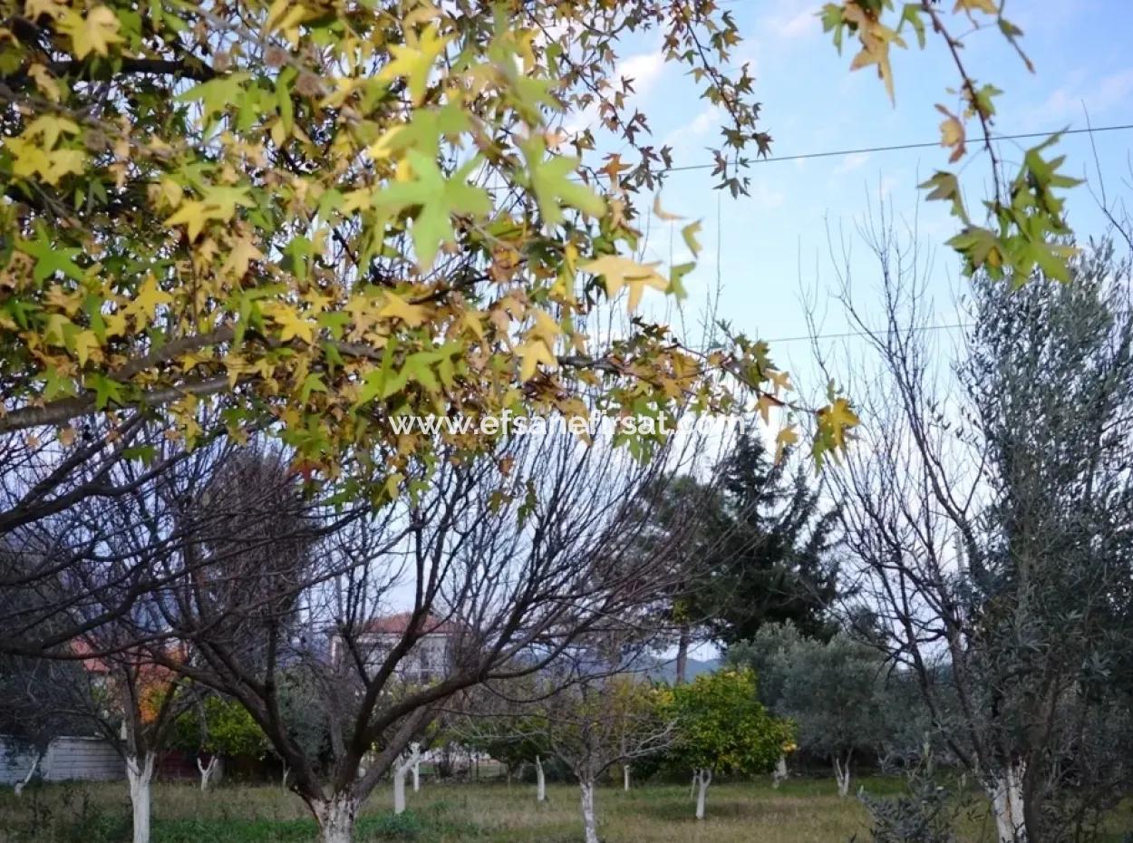 Detached Duplex With Lake View For Sale At Zeytinalani