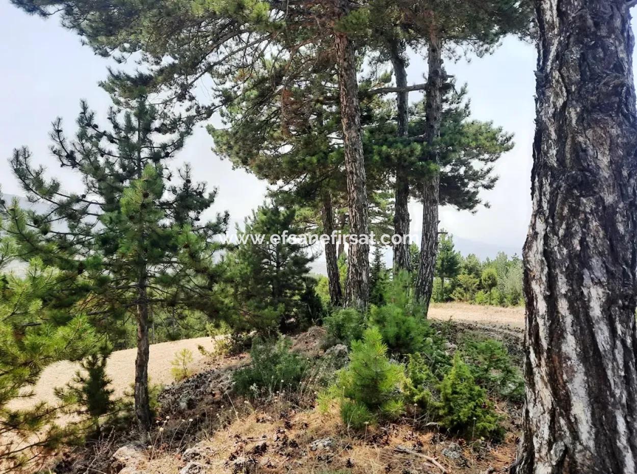 3 Parcels Of Land For Sale In Çameli Gökçeyaka