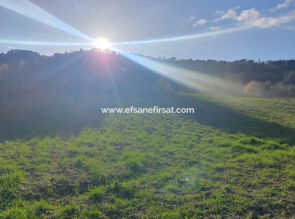 Denizli Çameli Kirazlıyayla Nature View 2 223 M2 Detached Land For Sale
