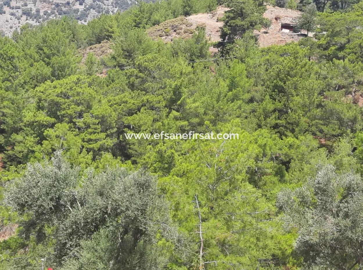 Dalyan Gökbelde Lake And Sea View Detached Title Deed For Sale 82 M2 Land For Sale