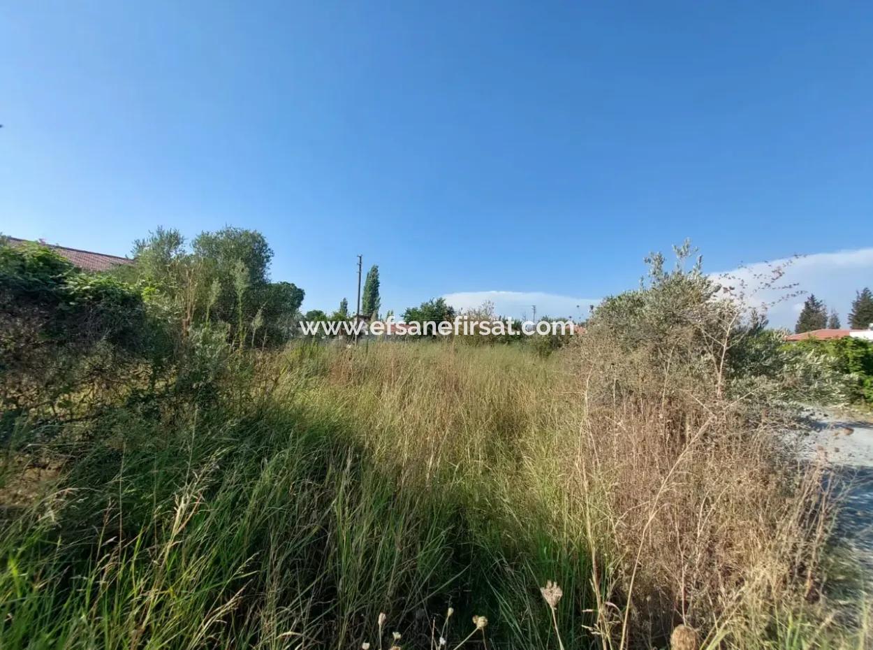 Land Zoned In Dalyan Arikbaşi Area For Sale