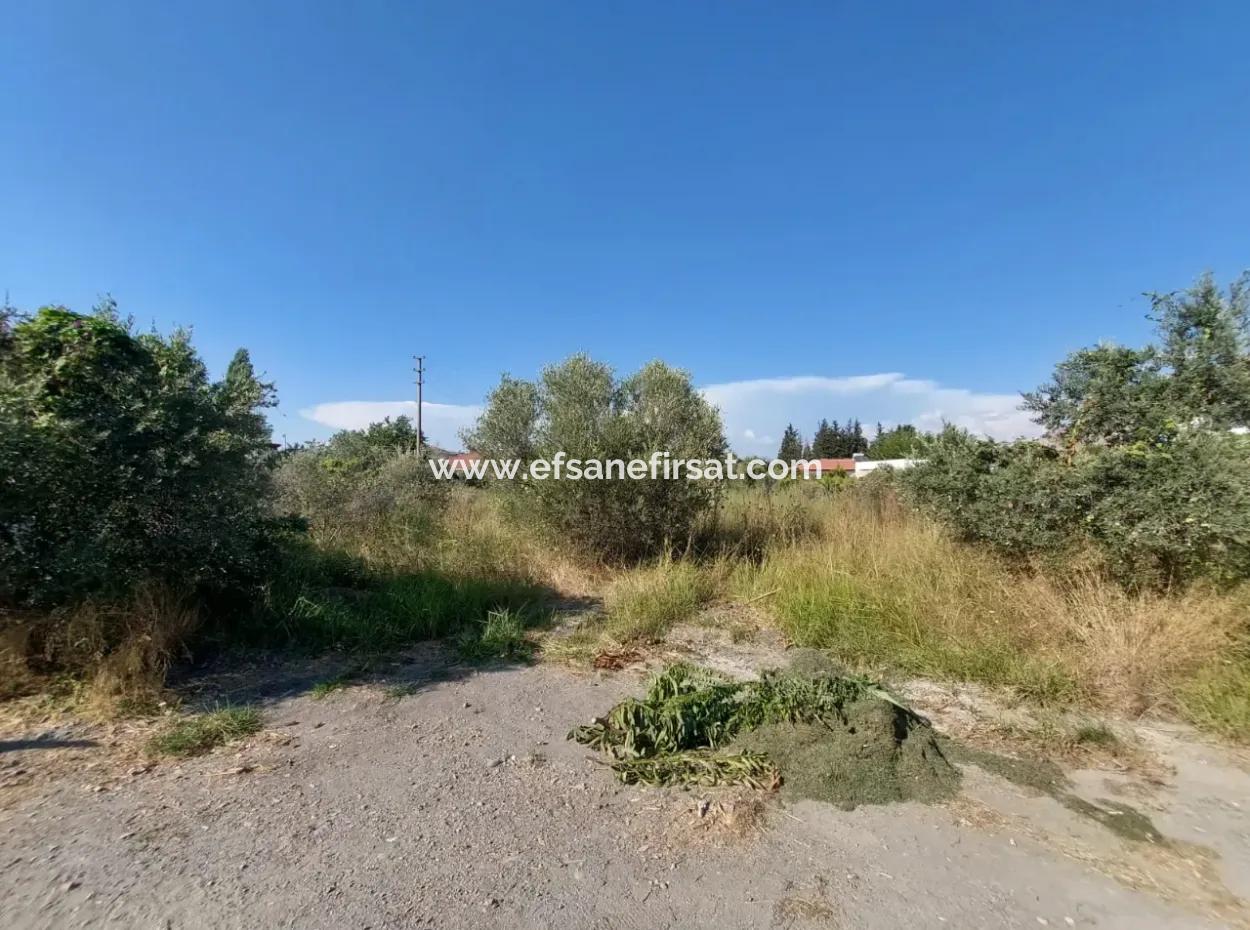 817 M2 Zoned Land For Sale In Muğla, Dalyan