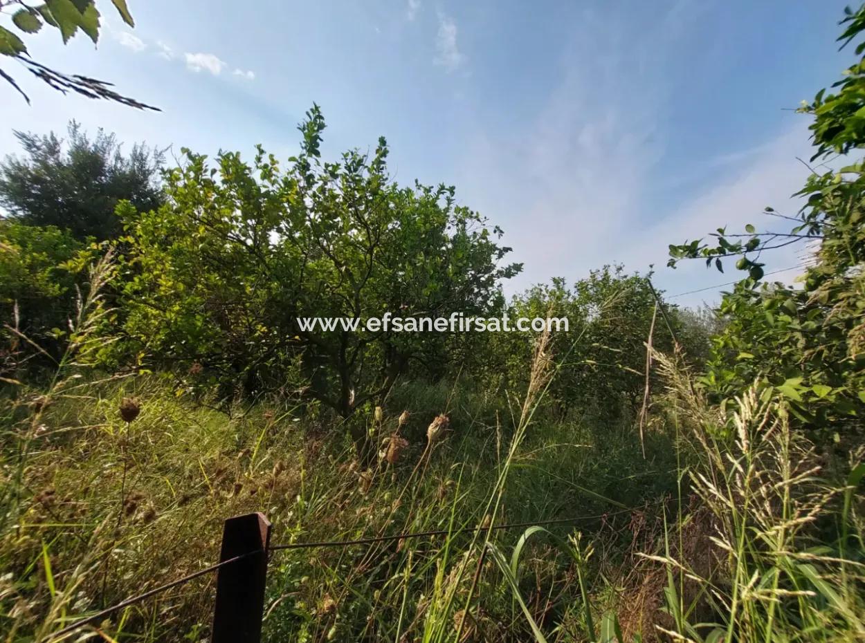 1.000 M2 Land For Sale In Ortaca Archers