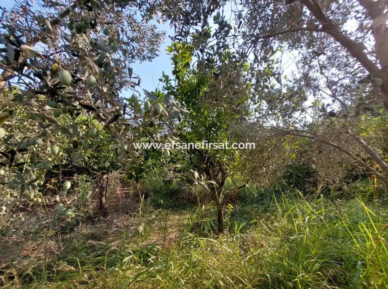 1.000 M2 Land For Sale In Ortaca Archers