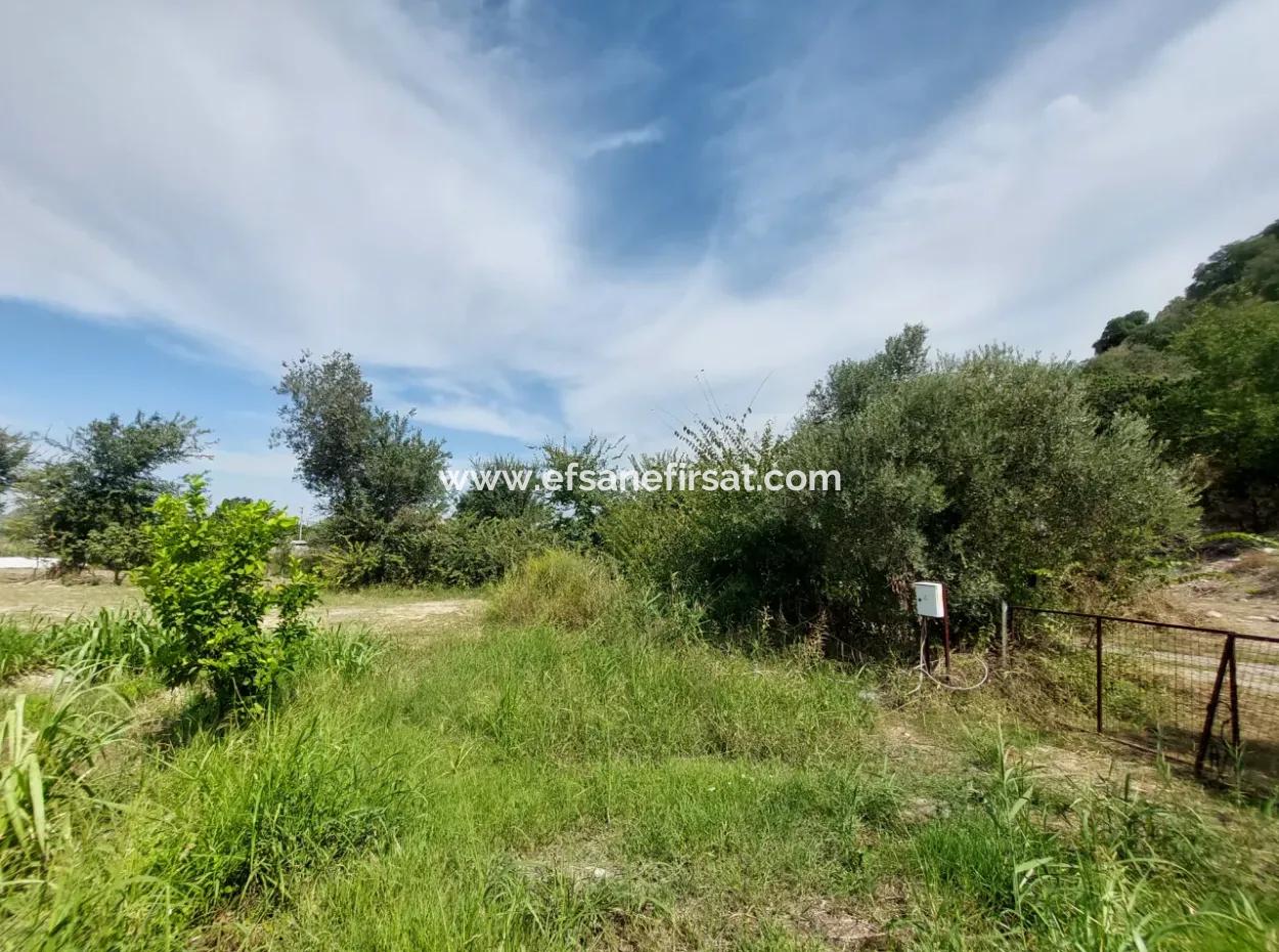 Mountainfront Fertile 1.680 M2 Land For Sale In Dalyan, Muğla