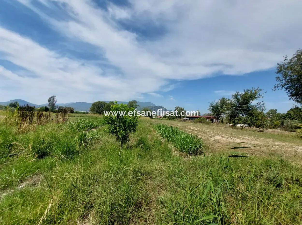 Mountainfront Fertile 1.680 M2 Land For Sale In Dalyan, Muğla