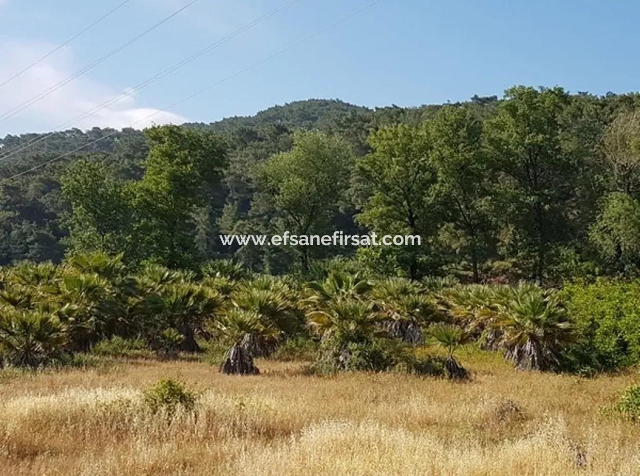 Kemaliye Zero From The Main Road Land For Sale