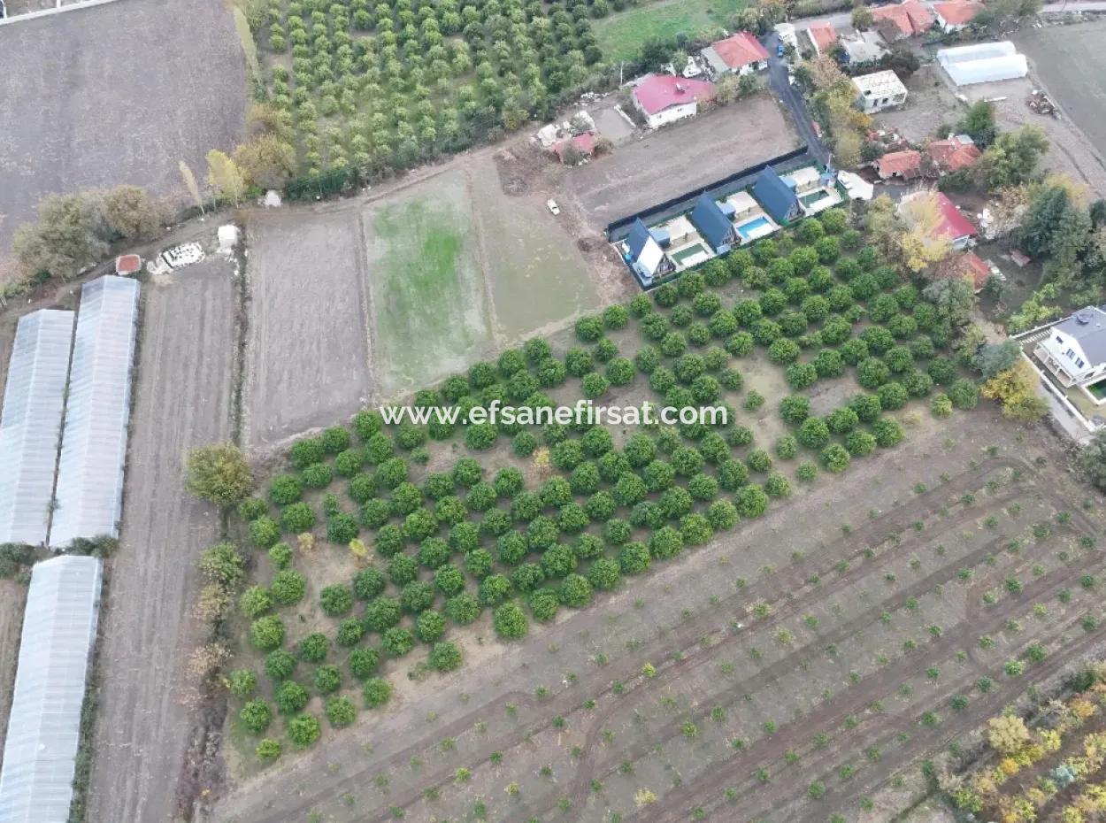 9750 M2 Land For Sale In Ortaca Okçular Zoning Plan Suitable For Investment
