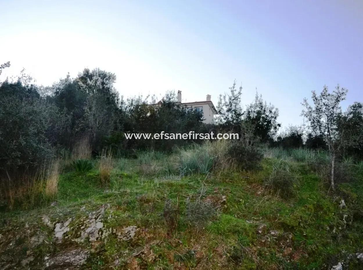 Residential Plot For Sale At Bargain Ula Esentepe