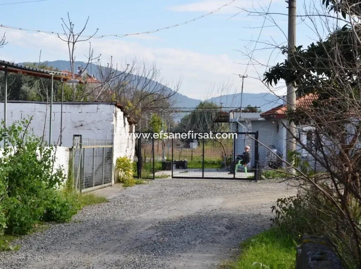 Commercial Zoned Bargain Land For Sale In Dalyan
