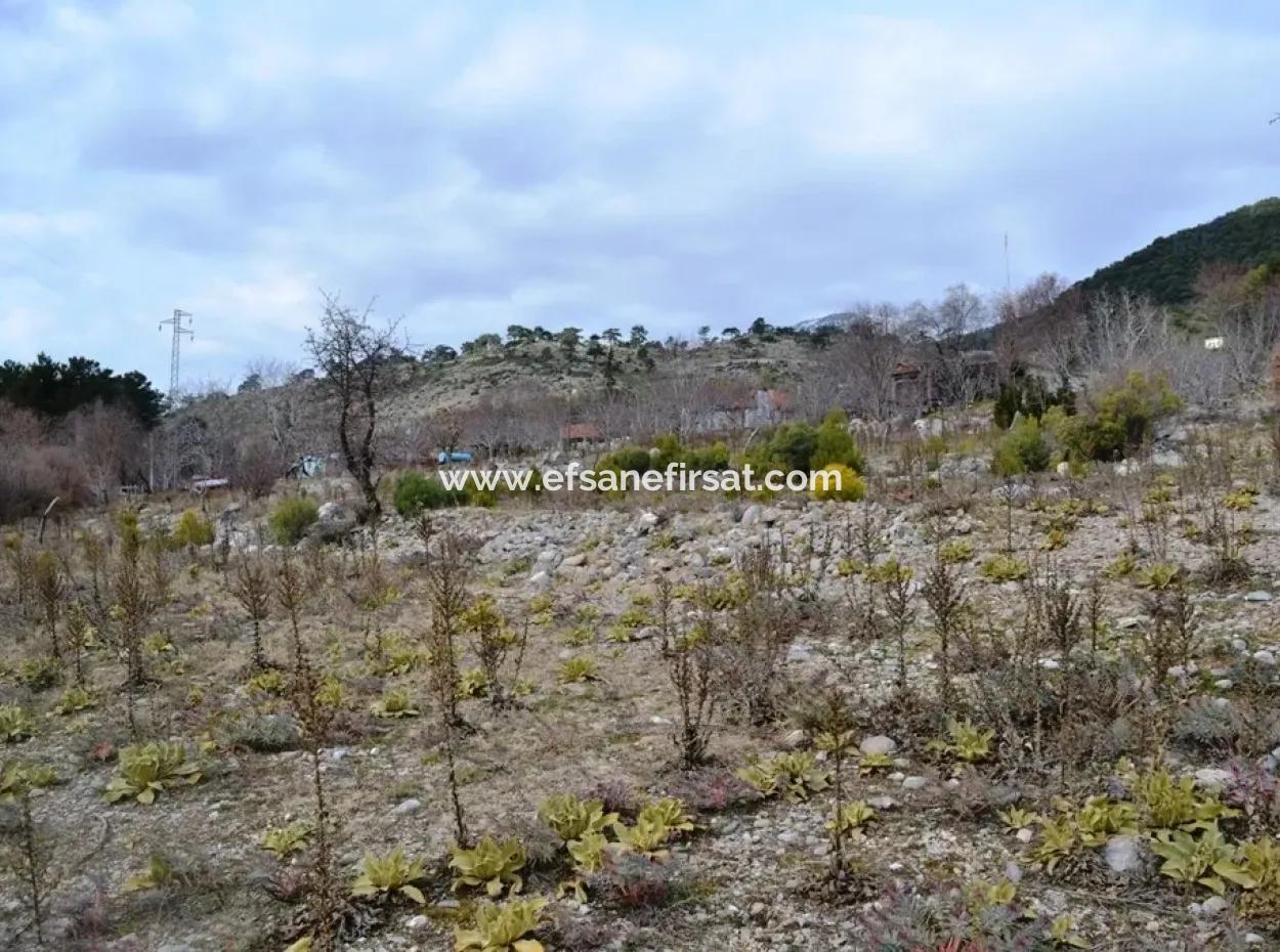 For Sale Bargain Land In Fethiye Ta Sty