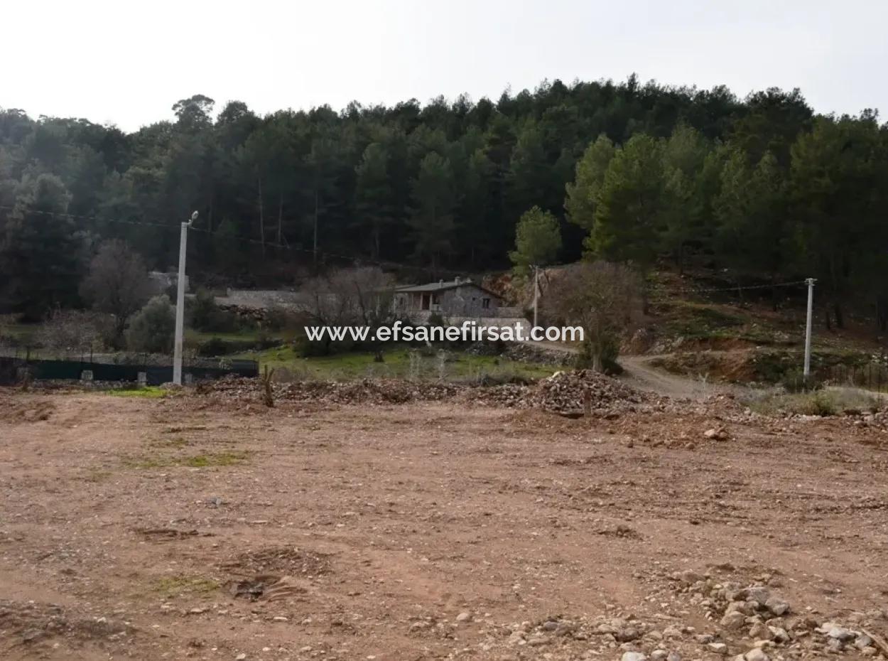 Farm For Sale Incirkoy Fethiye Bargain