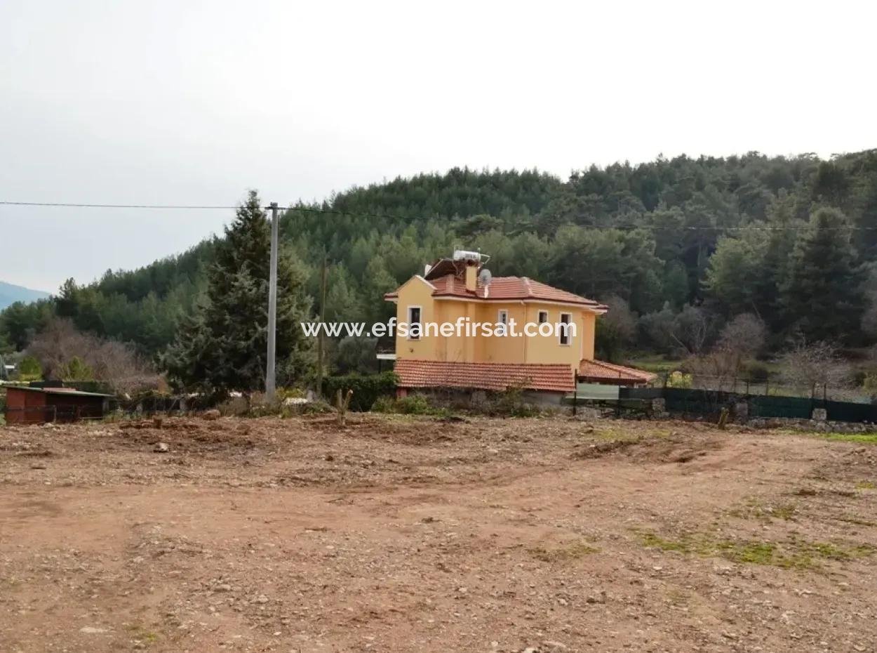 Farm For Sale Incirkoy Fethiye Bargain