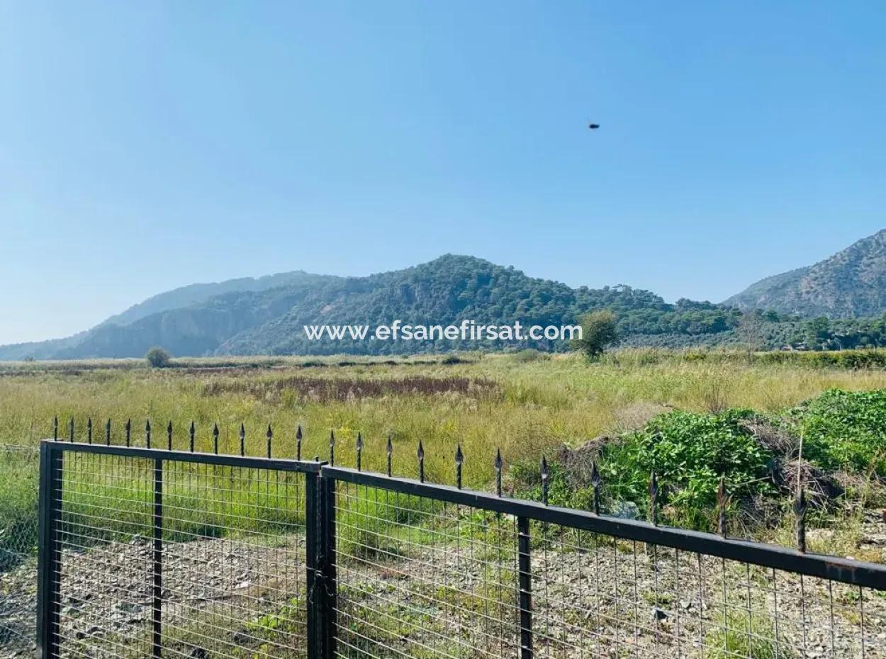 Fields Suitable For Cooperative In Ortaca Güzelyurt Are For Sale