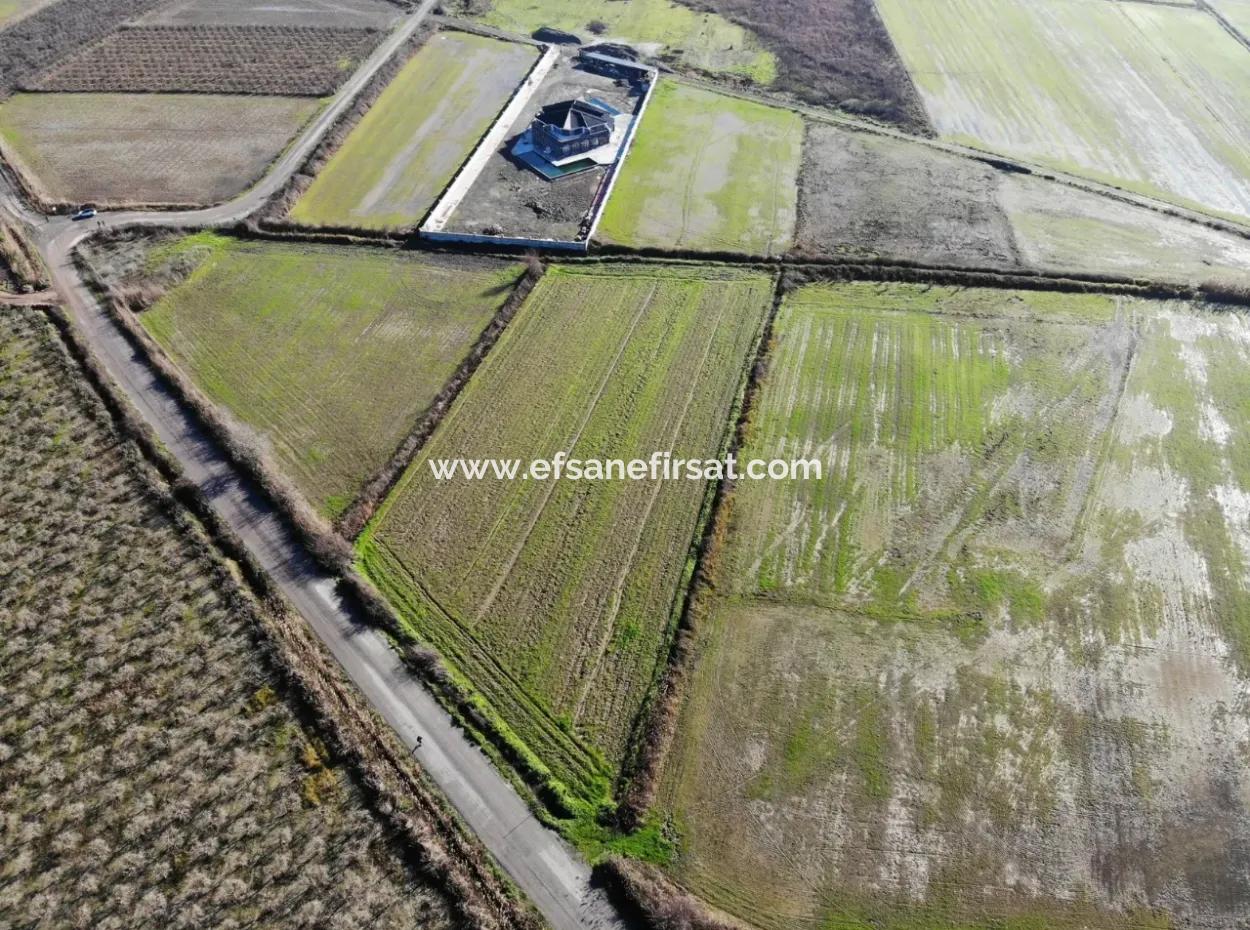 Fields Suitable For Cooperative In Ortaca Güzelyurt Are For Sale