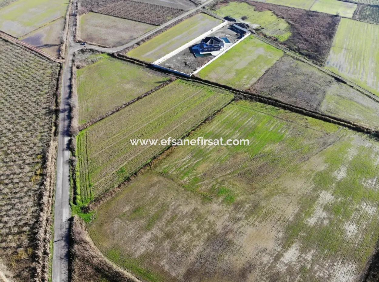 Fields Suitable For Cooperative In Ortaca Güzelyurt Are For Sale