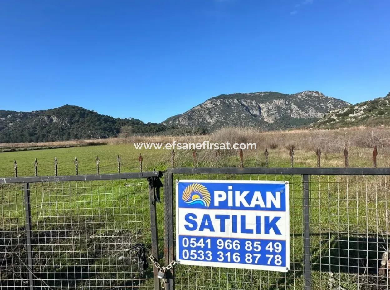 Fields Suitable For Cooperative In Ortaca Güzelyurt Are For Sale