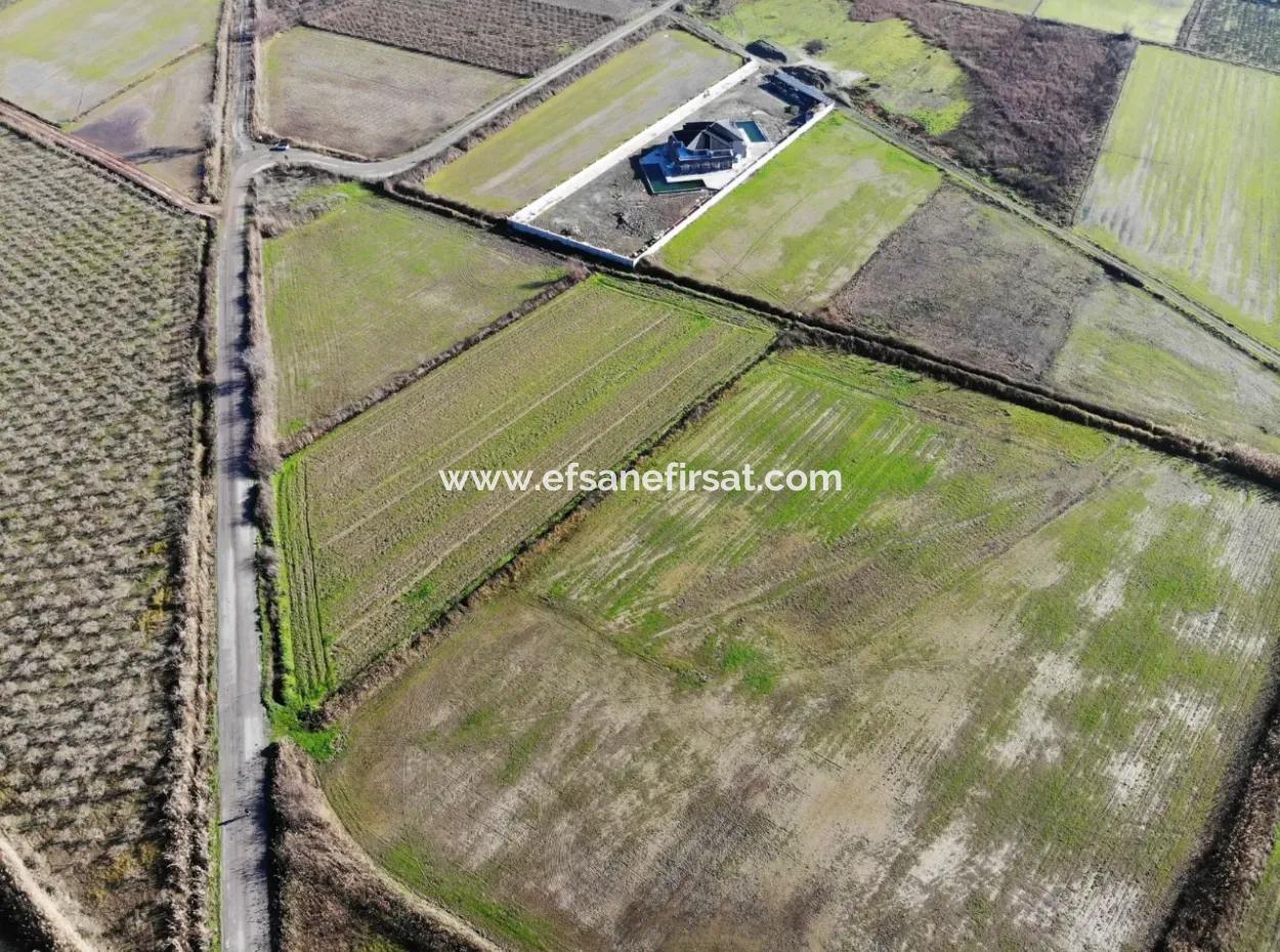 Fields Suitable For Cooperative In Ortaca Güzelyurt Are For Sale